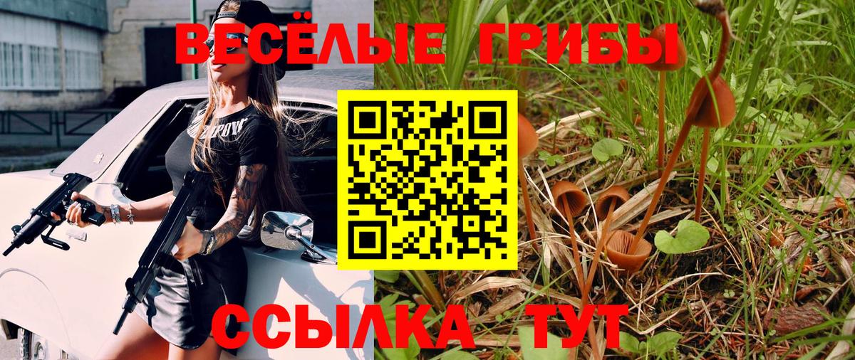 Псилоцибиновые грибы GOLDEN TEACHER  Вход с VPN  Алексин 